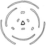 Photos Pflanzenfamilien Www Bio Nickl De